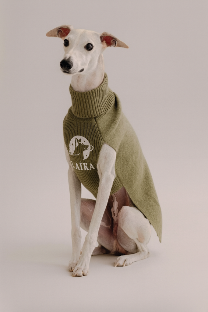 chatgpt image 5 déc. 2025, 11 19 32