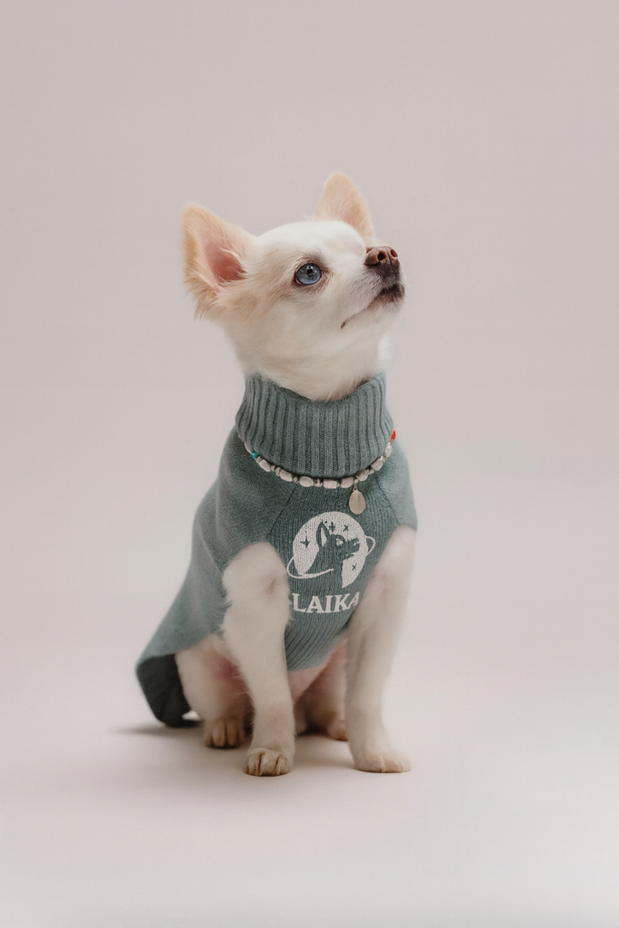 chatgpt image 5 déc. 2025, 11 49 27