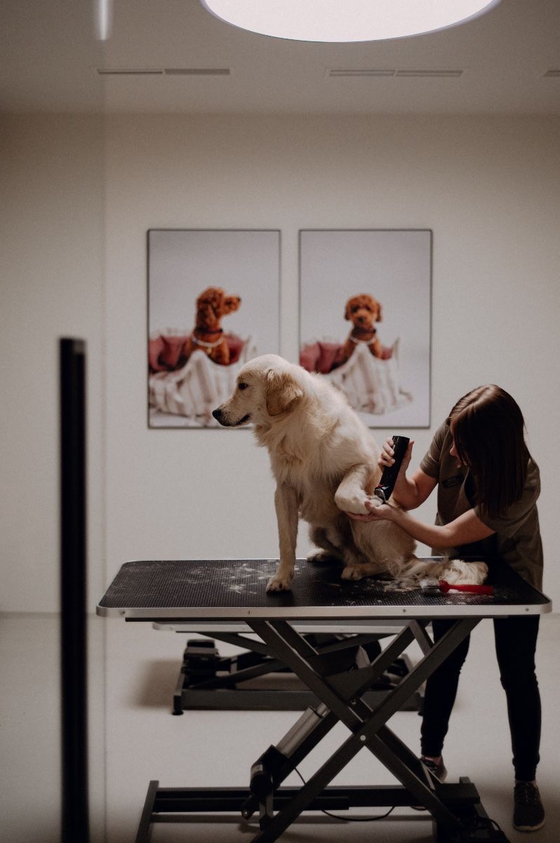 fdbe7ef6 e196 4bd6 9f3c 943ea5046bbd